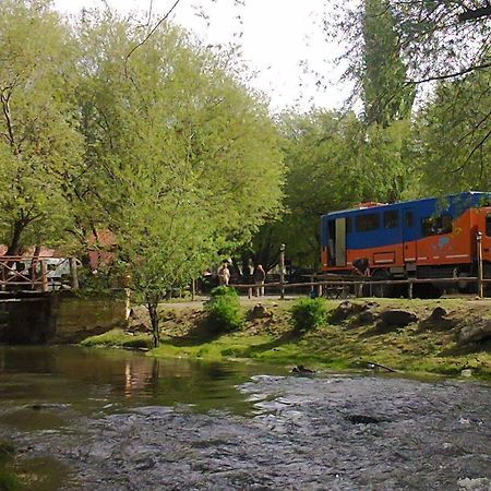 Camping Y Hostal El Ovejero El Calafate Bagian luar foto